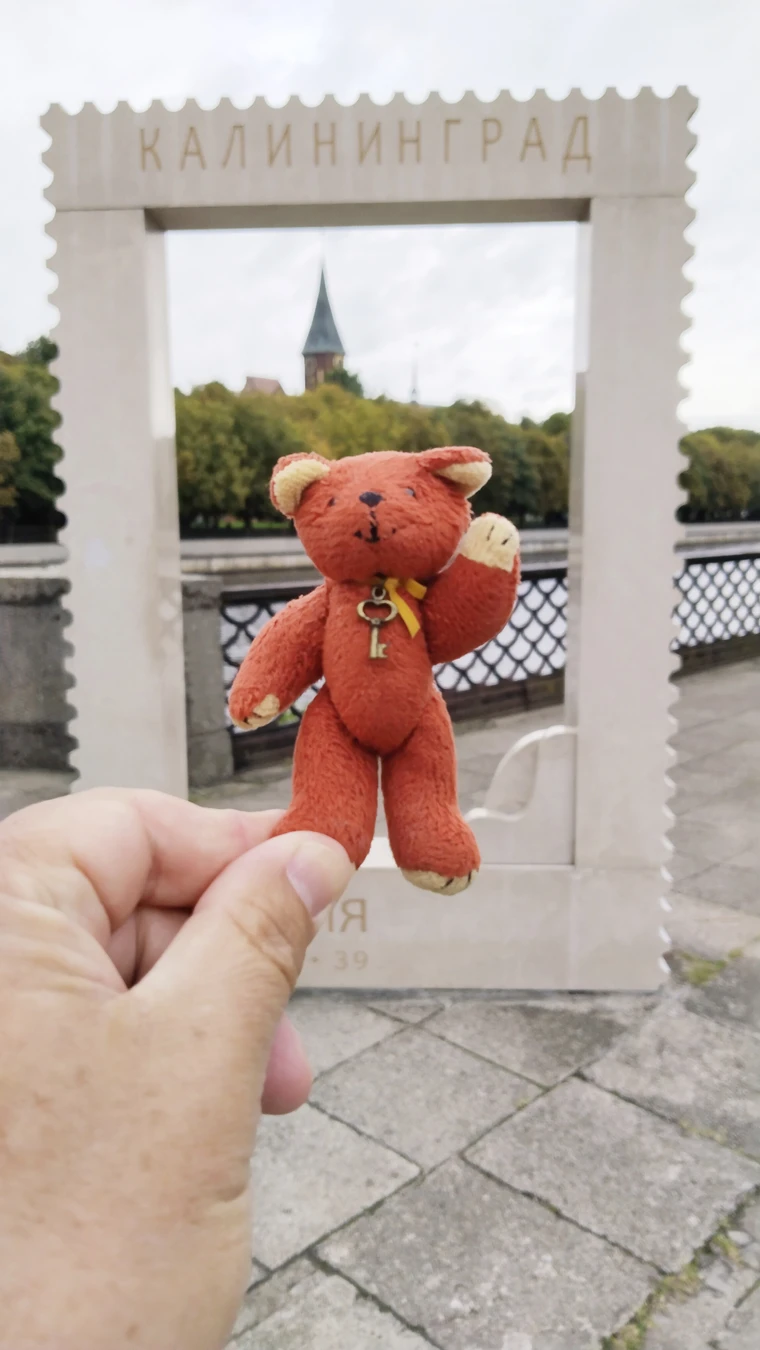 Фотоохота на хомлинов и самые знаковые места Калининграда — фото 3
