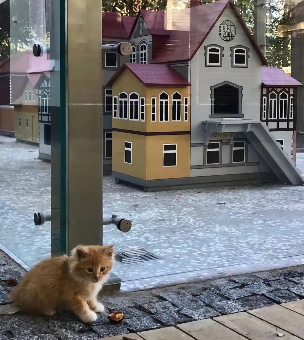 Путешествие на Куршскую косу и в Зеленоградск — фото 8