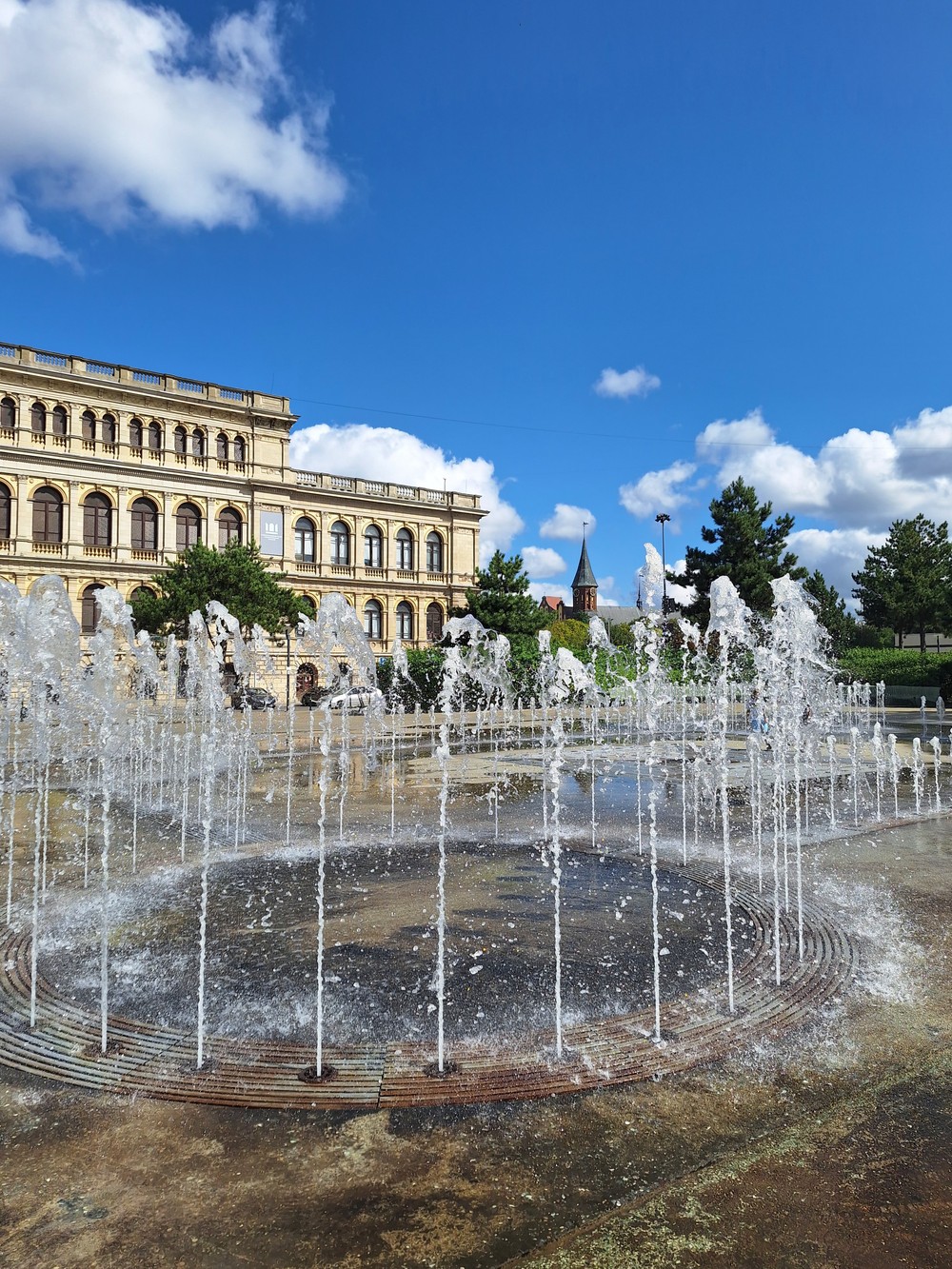 Сердце Кёнигсберга: прошлое и настоящее — фото 9