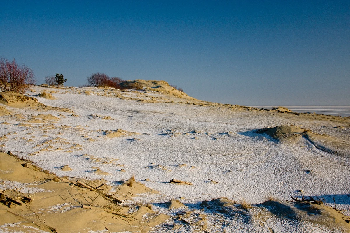 Куршская коса и Зеленоградск: дюны, сосны и море — фото 5