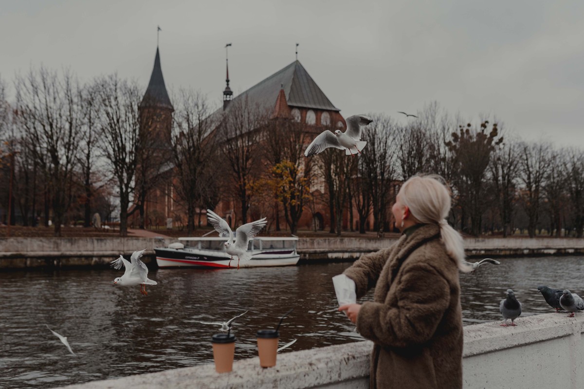 Непостановочная фотопрогулка по Калининграду — фото 10