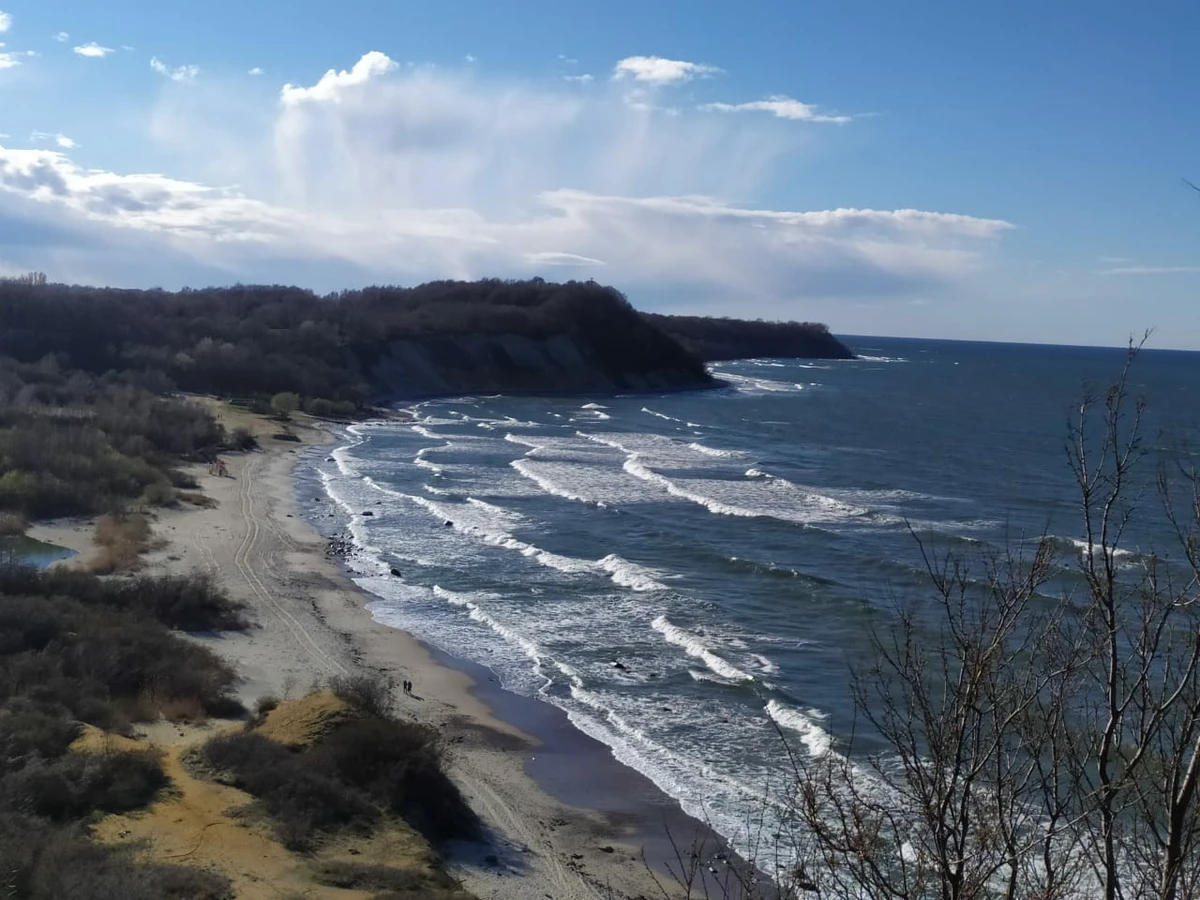 Куршская коса и 3 курорта Балтики за 1 день — из Калининграда — фото 5
