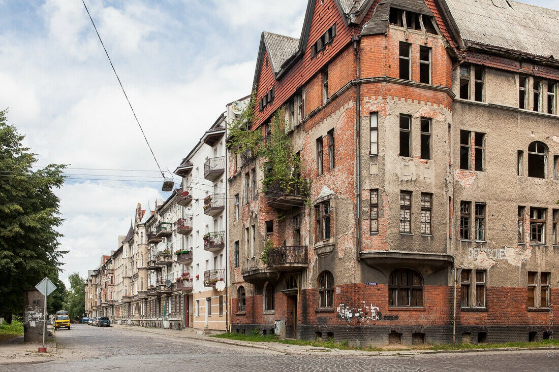 Дорога рыцарей: из Калининграда в Черняховск — фото 4