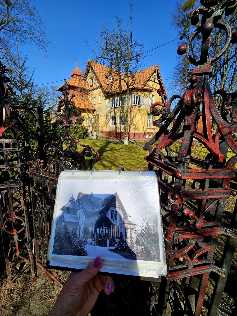 Семь ворот Кёнигсберга + прогулка по Амалиенау в подарок — фото 9