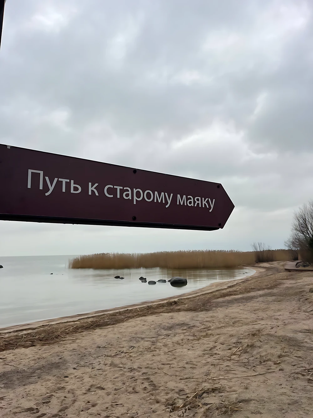 Тайны тевтонских замков и балтийских маяков (из Калининграда) — фото 6