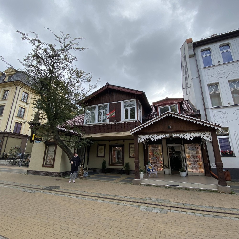 Из Калининграда — в Светлогорск и Зеленоградск — фото 9