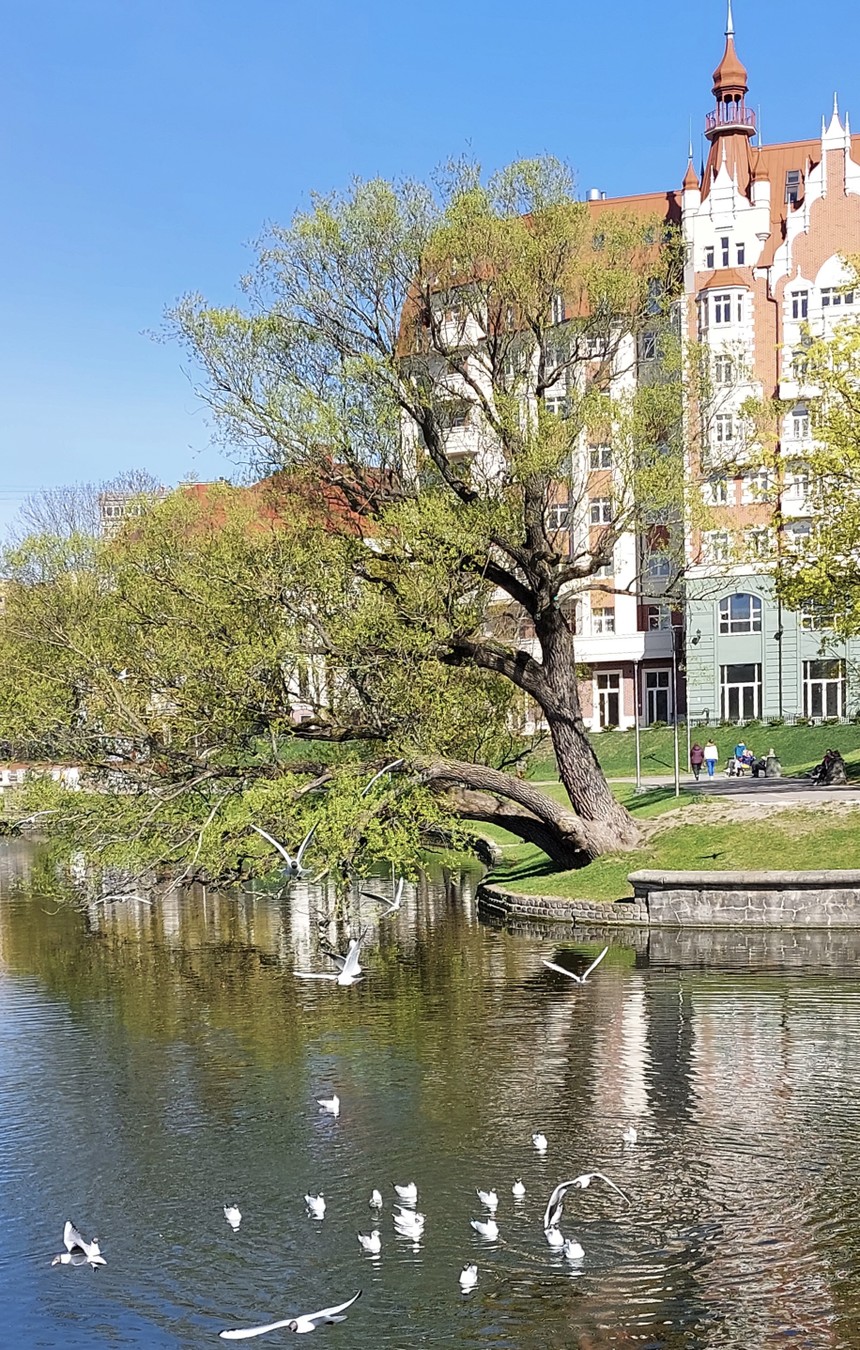 Кёнигсберг — Калининград: город на перекрёстке эпох — фото 12