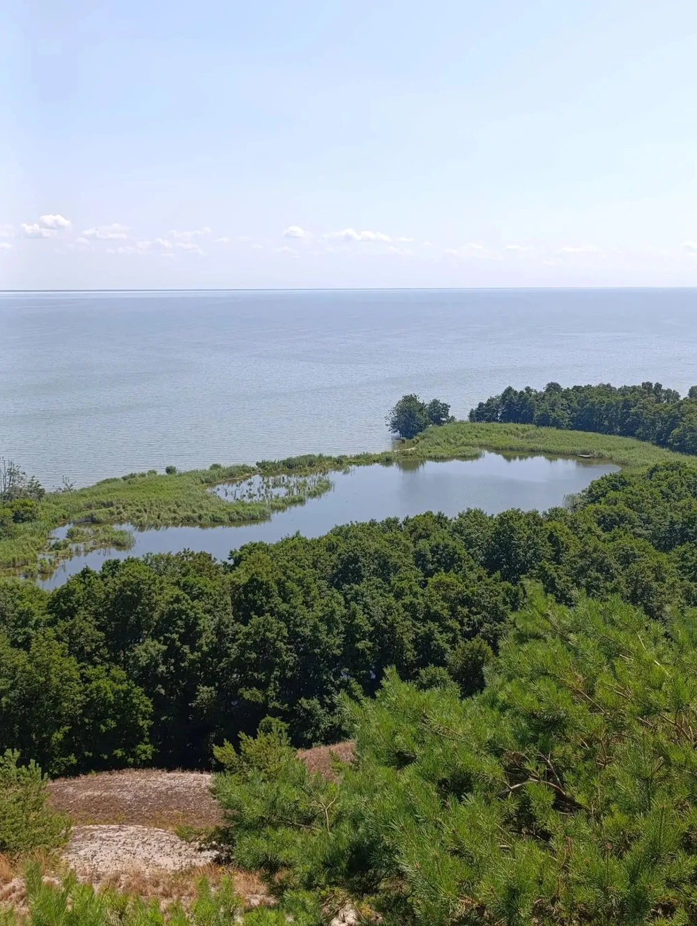 Куршская коса — природная сказка Балтики + курортный Зеленоградск — фото 7