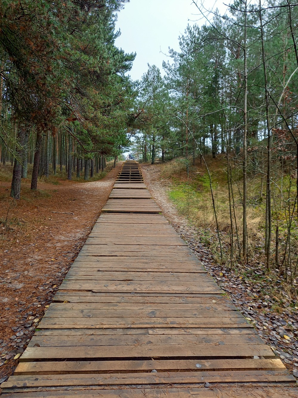 5 городов области и Куршская коса: новогодние праздники у моря — фото 8