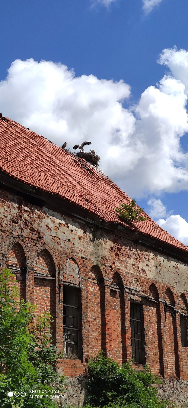 Из Калининграда — в Янтарный и Зеленоградск — фото 7