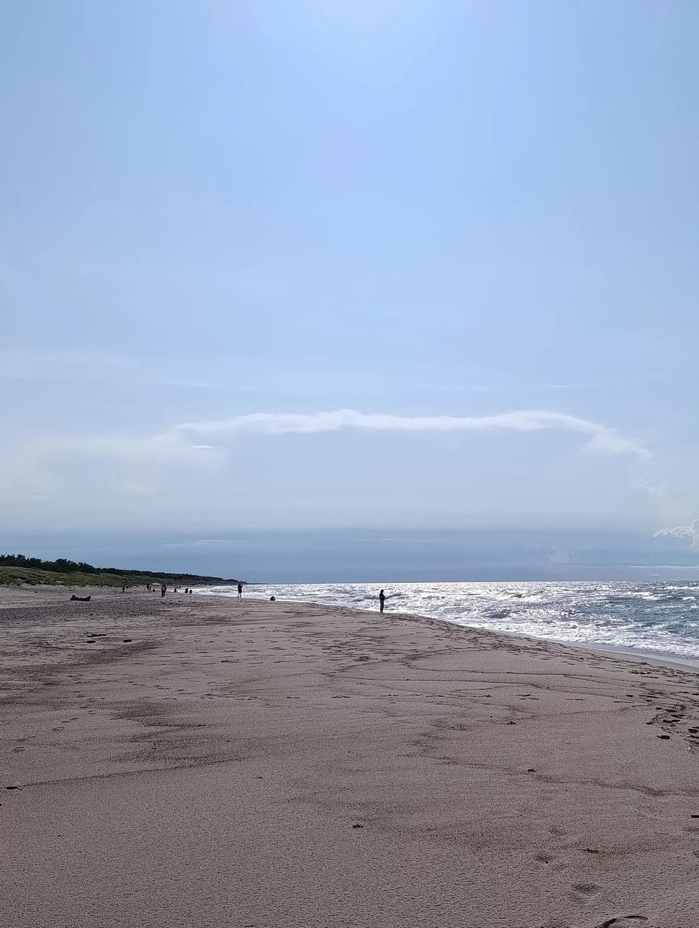 Куршская коса — природная сказка Балтики + курортный Зеленоградск — фото 4