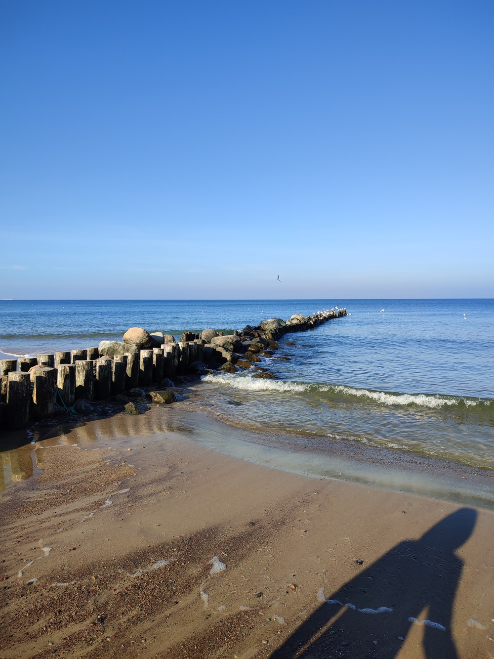 Путешествие по пляжам Балтийского моря для интровертов — фото 6