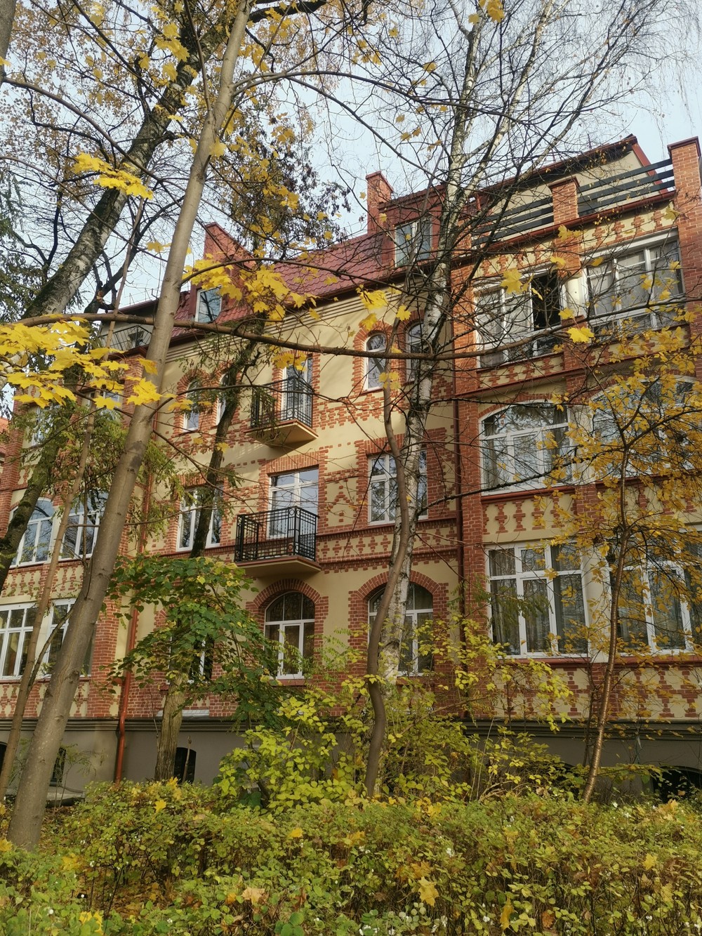 «Весна королевы Луизы»: прогулка по знаменитой улице Кёнигсберга — фото 5