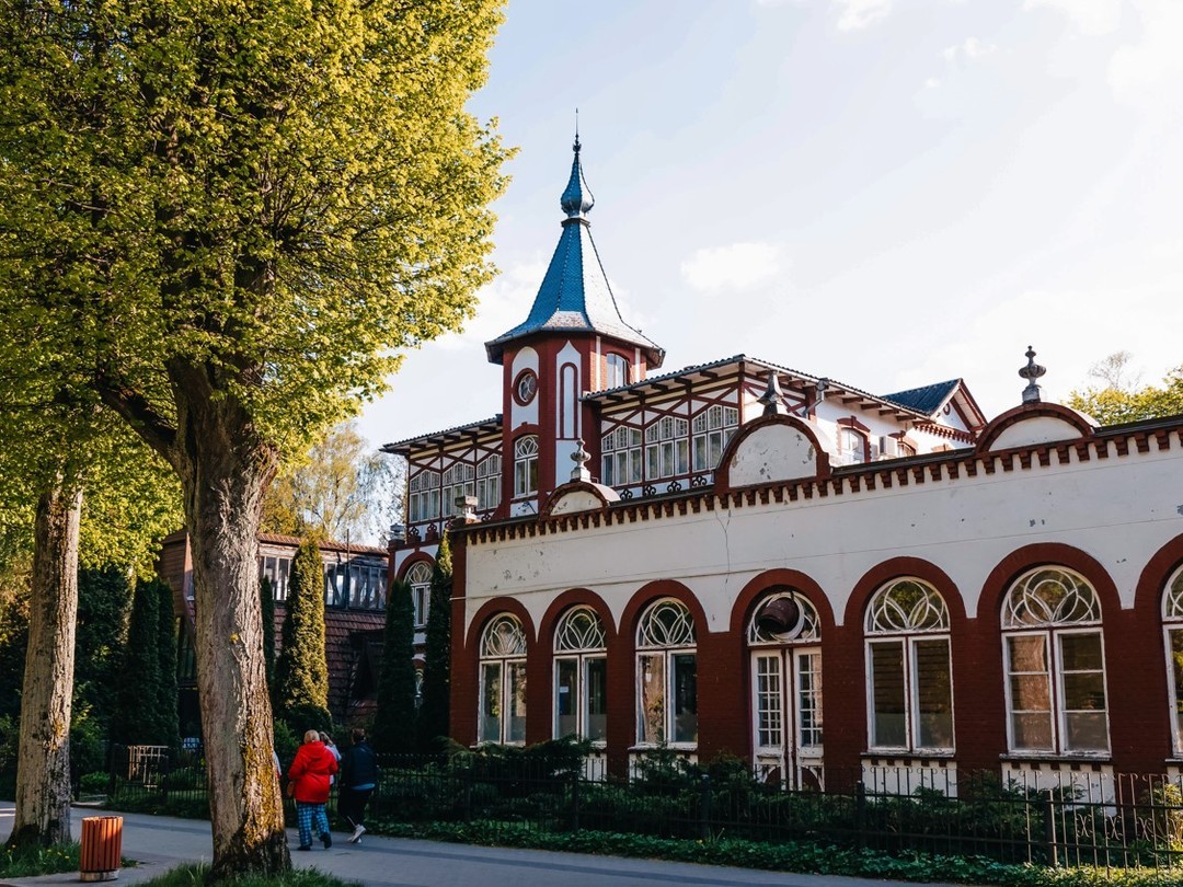 Море, котики, курорты: главное в Калининградской области — фото 4