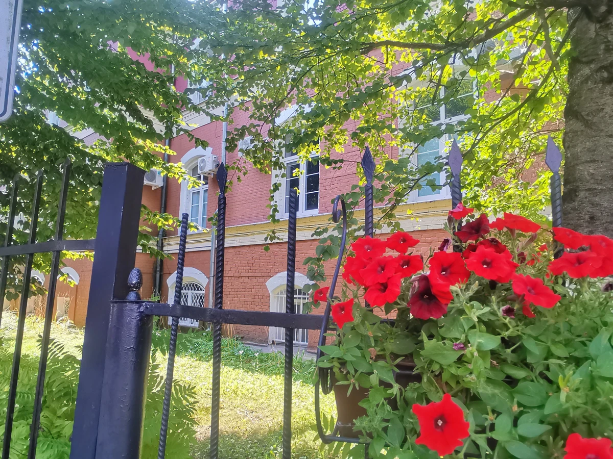 «Весна королевы Луизы»: прогулка по знаменитой улице Кёнигсберга — фото 3
