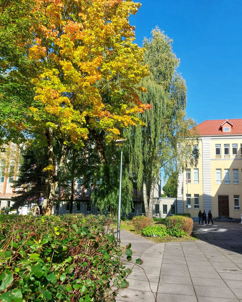 Парадный Кёнигсберг: красота эклектики — фото 6