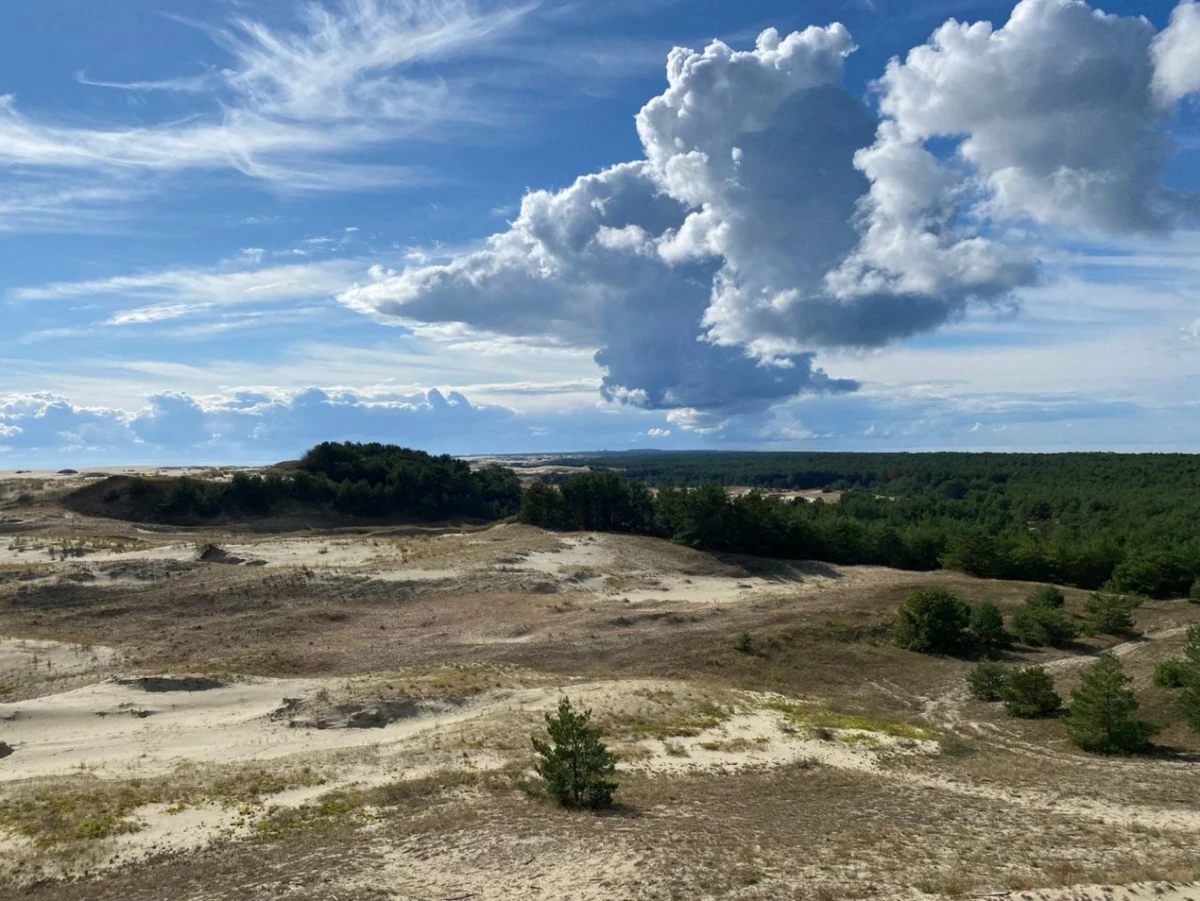Куршская коса и Зеленоградск: природная граница двух миров — фото 2