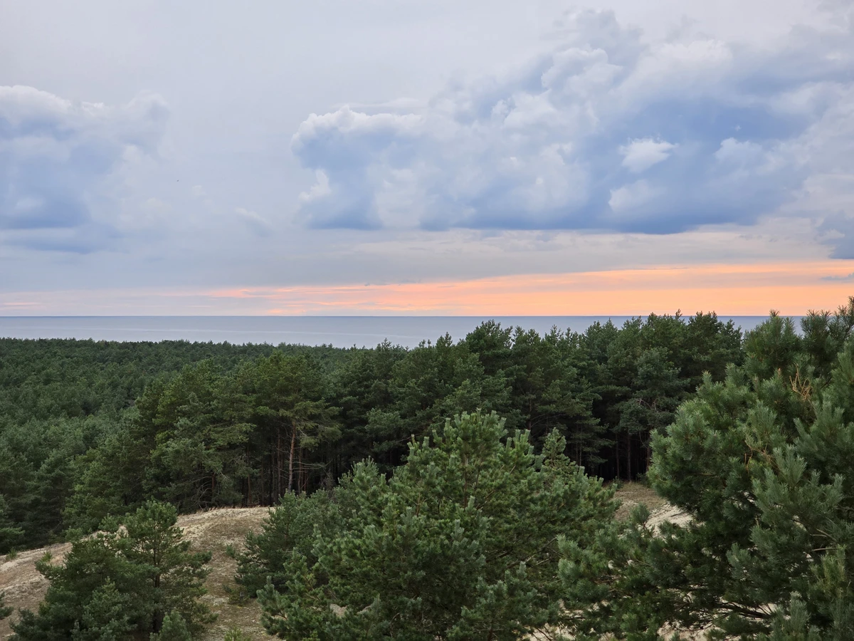 Из аэропорта Калининграда — на Куршскую косу — фото 10