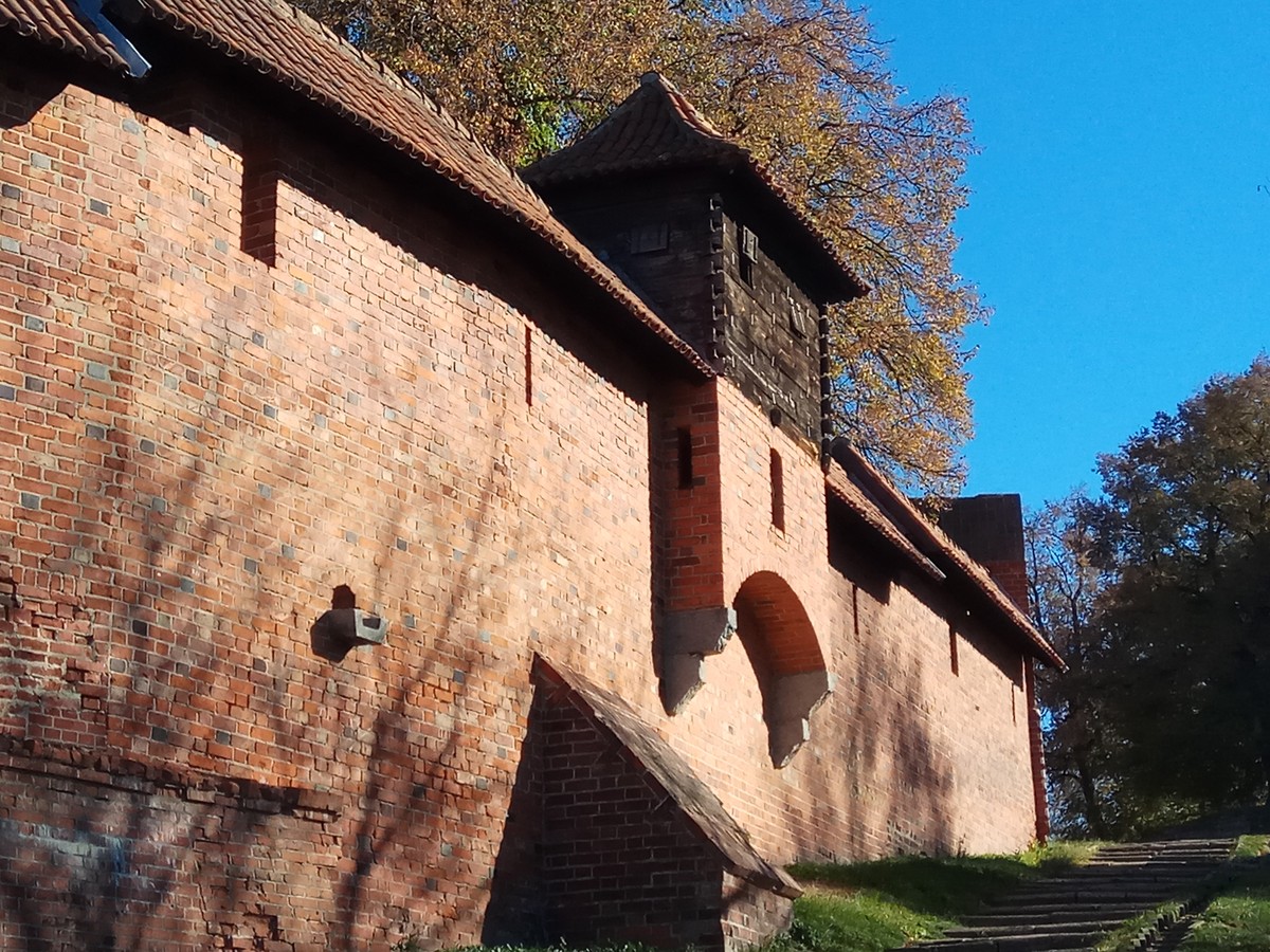 Насыщенная обзорная экскурсия по Калининграду — фото 6