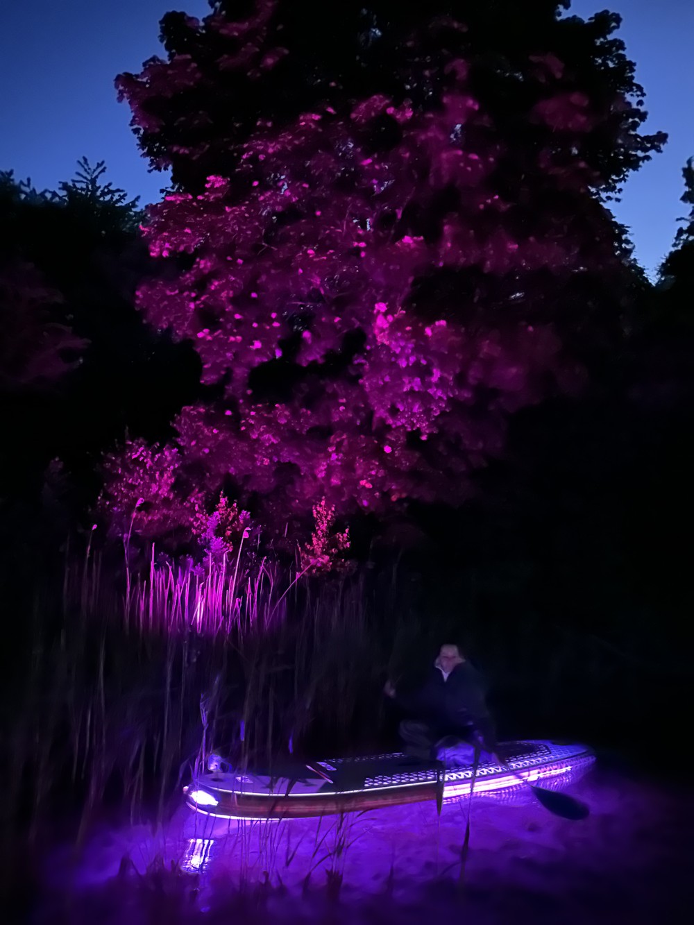 Сплав на сапбордах с подсветкой в Калининграде — фото 7
