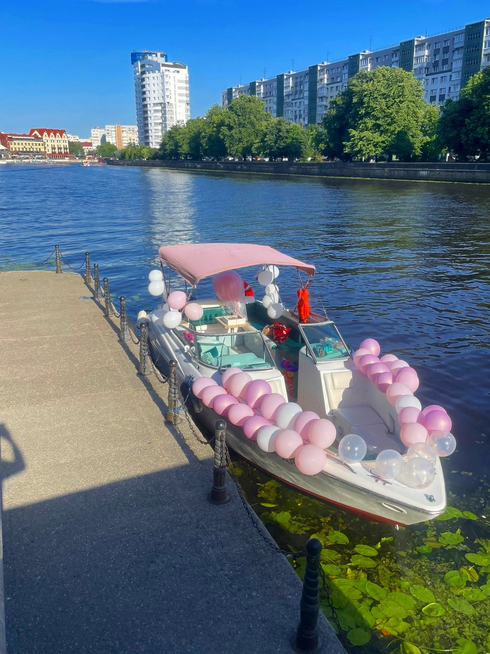На катере — по Калининграду с заходом в порт — фото 9