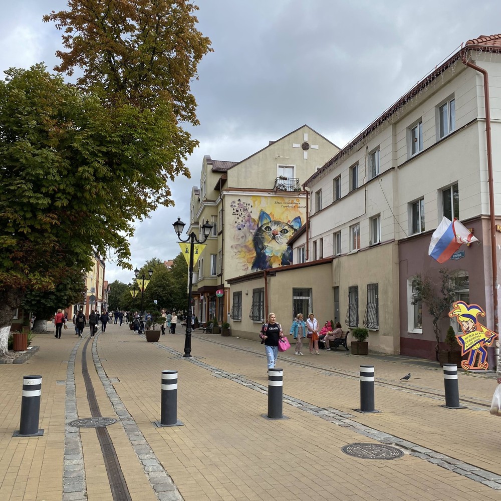 Из Калининграда — в Светлогорск и Зеленоградск — фото 4