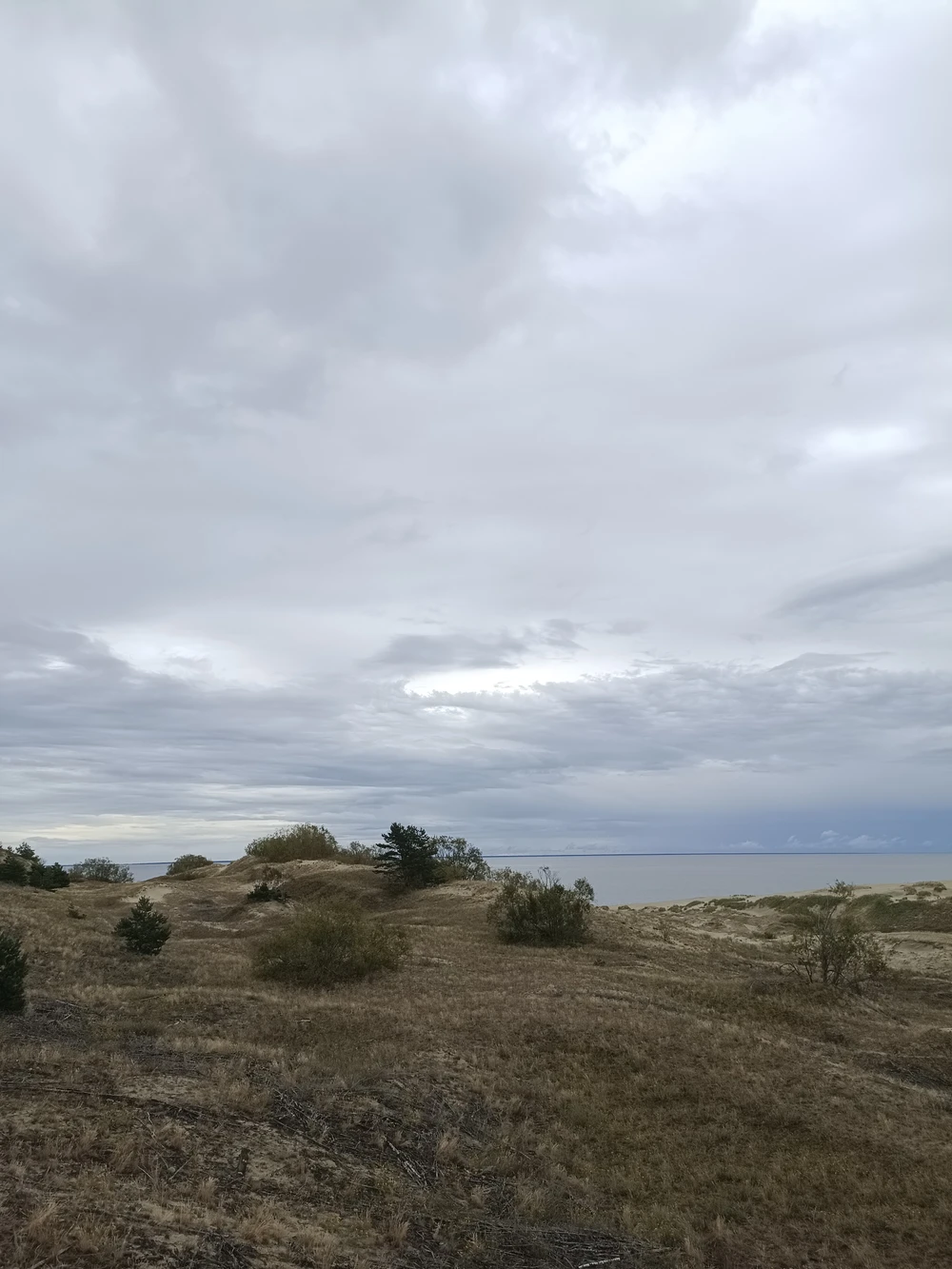 Между морем и заливом — Куршская коса — фото 6