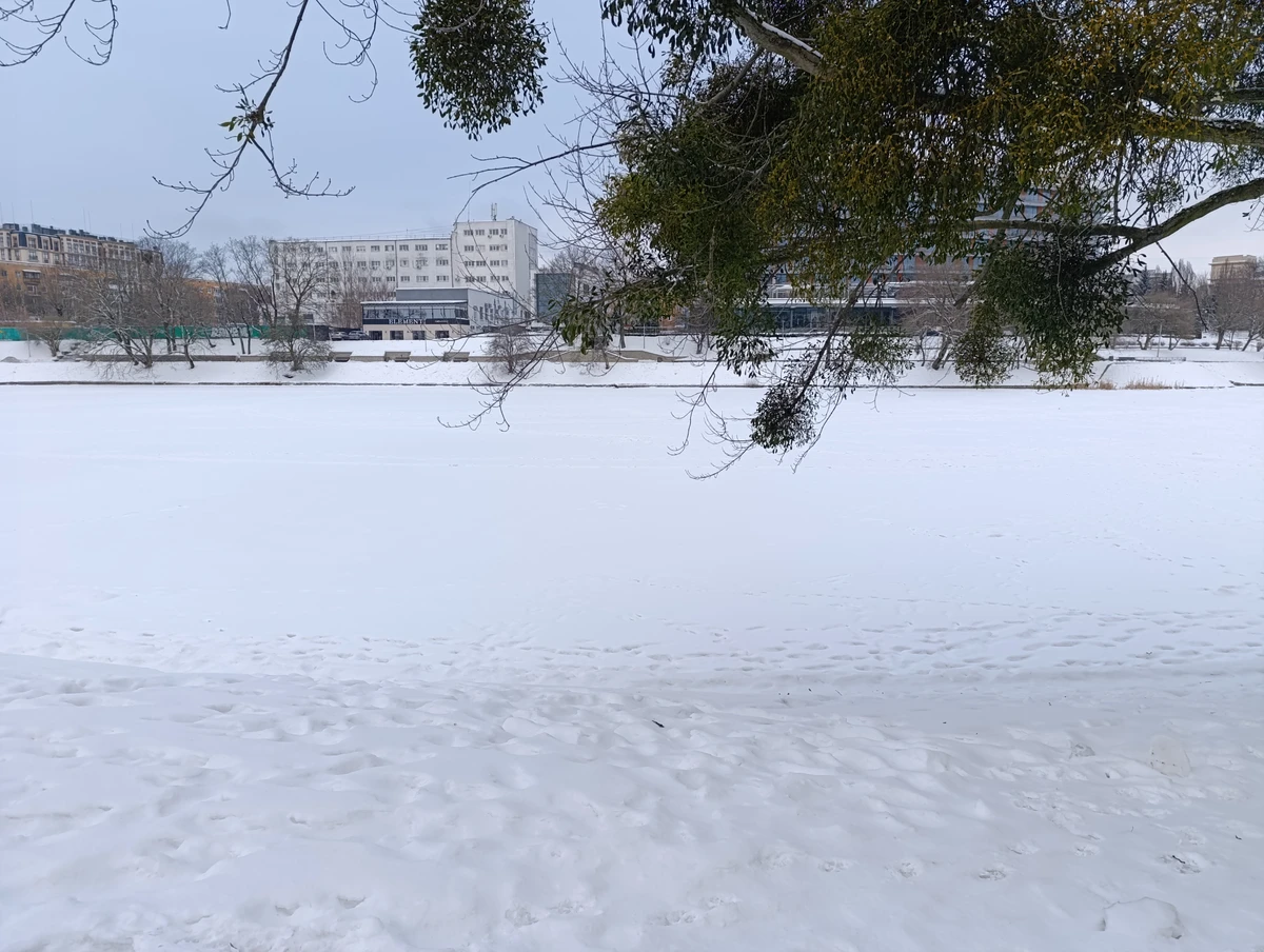 Штурм Кёнигсберга — фото 4