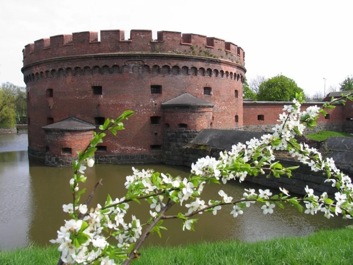 Город с богатым прошлым и перспективным будущим — по Калининграду на микроавтобусе — фото 2