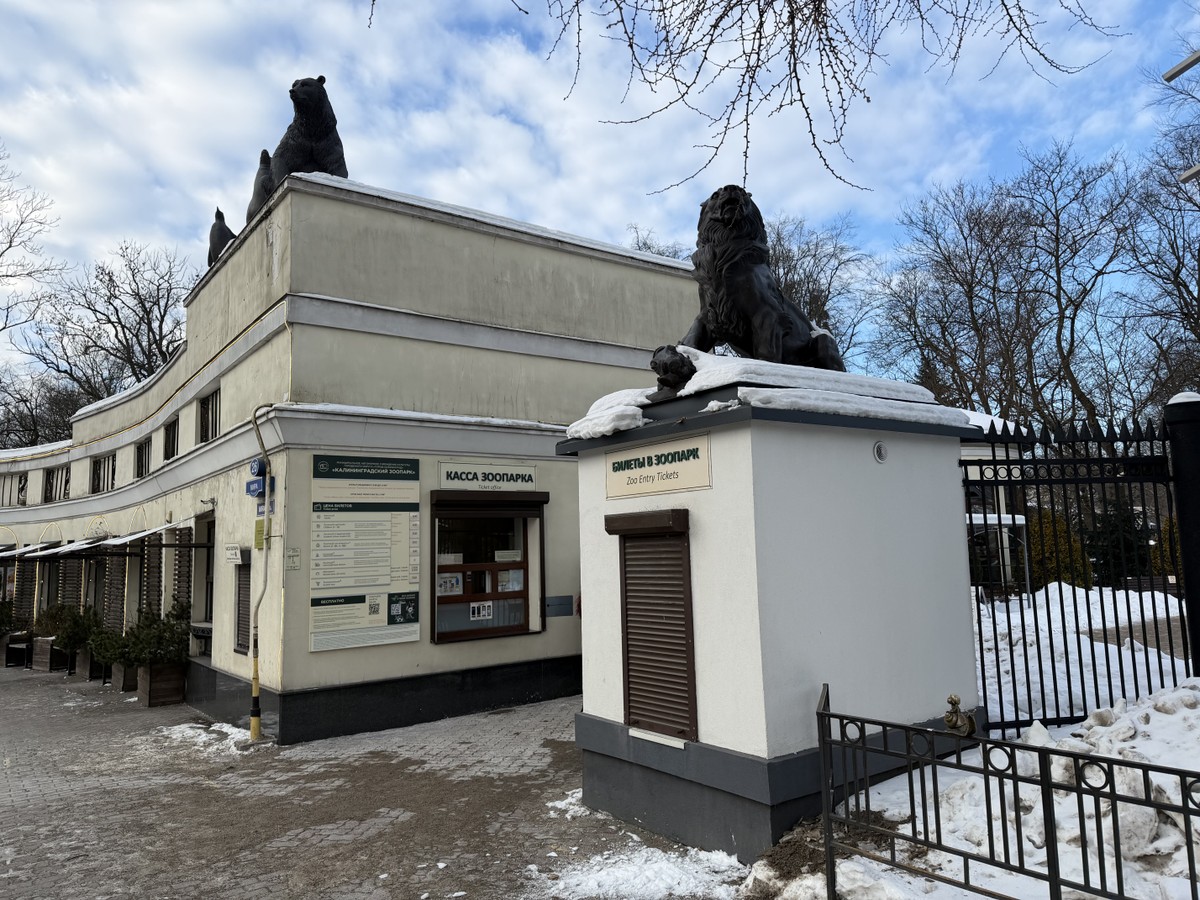 Калининград — Кёнигсберг: главное в городе — фото 12