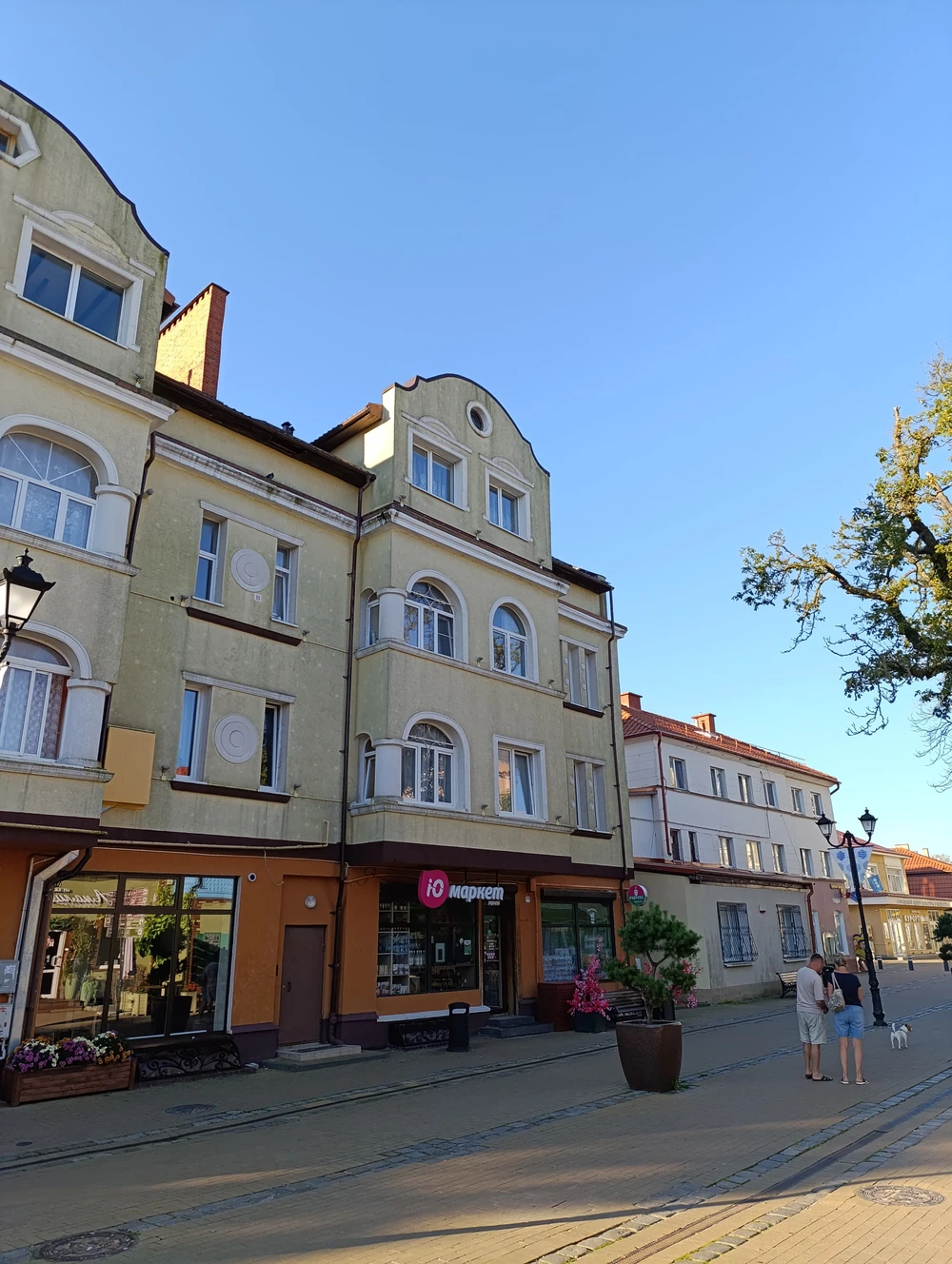 Куршская коса — уголок нетронутой природы — фото 6